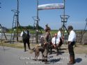 Game Fair Biddinghuizen 2009