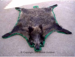 Wild boar skin head