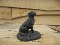 Labrador