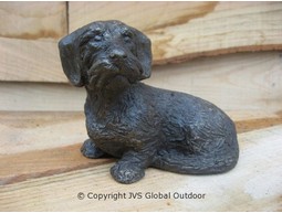 Dachshund