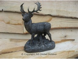 Fallow Deer