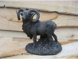 Mouflon