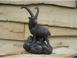 Capricorn
