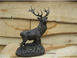 Red Deer