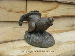 Grouse