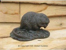Muskrat