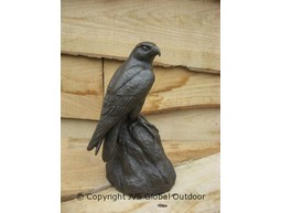 Peregrine