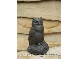 Eagle owl