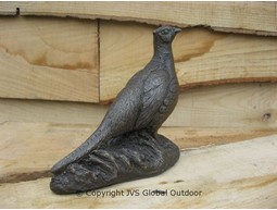 Pheasant