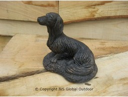 Longhaired Dachshund