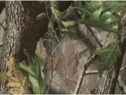 Camohut Realtree Hardwoods Green HD