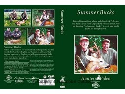 Summer bucks