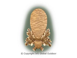 Trophy deer brown shield Artnr.106