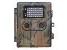 Wild camera 10MP