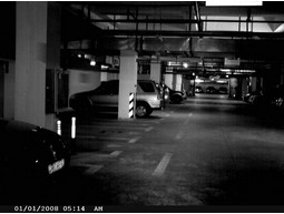 Wild camera 8MP