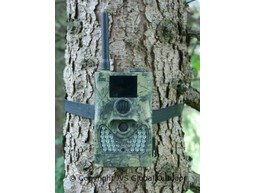 8MP Digital Camera with SMS / MMS and e-mail