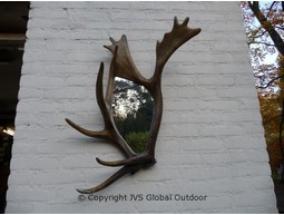 Mirror with antlers rods