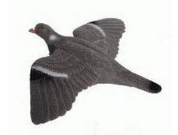 Flying lokduif