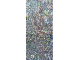 Camouflage net 1.5x4 meters Mossy Oak