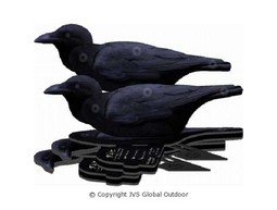 FUD Crow (6 pcs.)