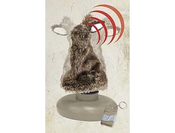 Hare complainant 
