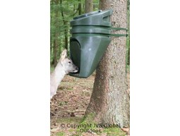 Deer feeding