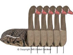 Sillosocks Pink foot/Greylag goose looking 6 pieces