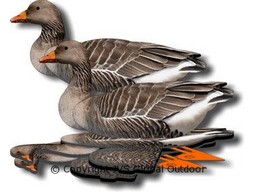 FUD Grey goose decoy (6 units)