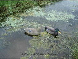 Duck decoy flocked 39 cm