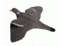 Flying pigeon decoy