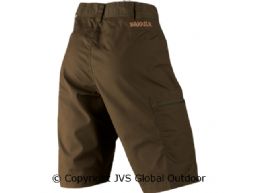 Alvis shorts Willow green