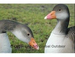 DKwai Greylag Goose decoy set 12 pieces scales