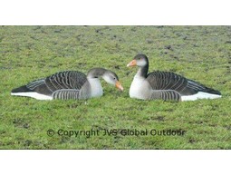 DKwai Greylag Goose decoy set 12 pieces scales