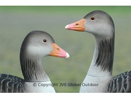 DKwai Greylag Goose decoy set 6 pieces full body