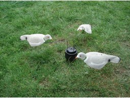 Crow / pigeon carrousel small without decoys