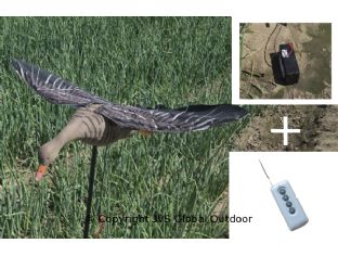 Electric Flying Goose Decoy with Moving Wings