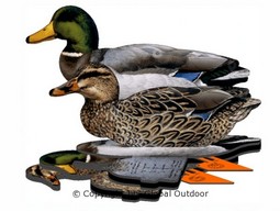 FUD Mallard (6 units)