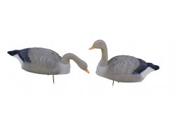 Greylag goose shell flocked 5 pc