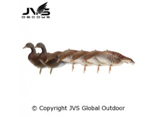 Greylag Goose Decoy Set - as featured in the Goose Course