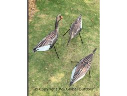 Greylag goose decoy 6pcs