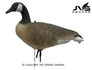 JVS Decoys Canada Goose Full Body (12 pcs)