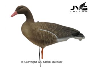 JVS Decoys Greylag Goose Full Body (6 pcs)