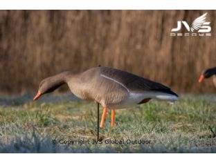 JVS Decoys Greylag Goose Full Body (6 pcs)