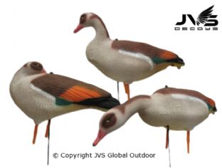 JVS Decoys Egyptian Goose - Decoy Set of 3