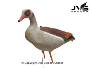 JVS Decoys Egyptian Goose Full Body (12 pcs)