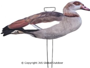 JVS Decoys Egyptian Goose