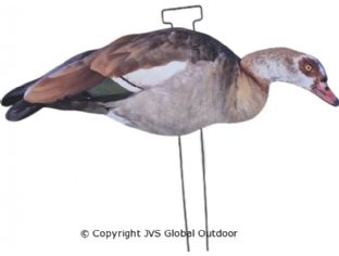 JVS Decoys Egyptian Goose