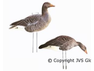 JVS Decoys Silhouette Geese 12 pcs
