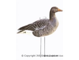 JVS Decoys Silhouette Geese 24 pcs