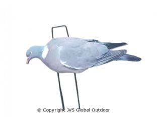 JVS Decoys Silhouette Pigeon Decoy Pack of 24